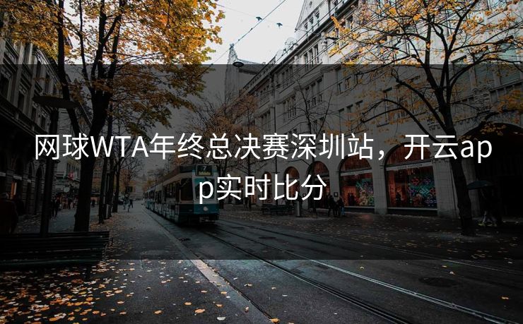 网球WTA年终总决赛深圳站，开云app实时比分